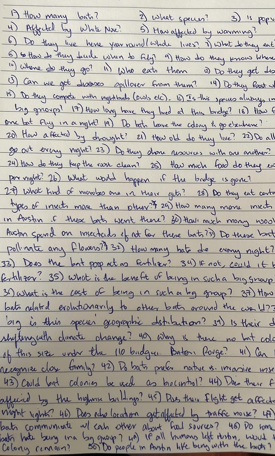 Gaurav's 50 questions about bats